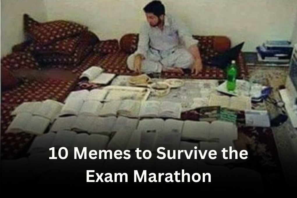 10 Memes to Survive the Exam Marathon